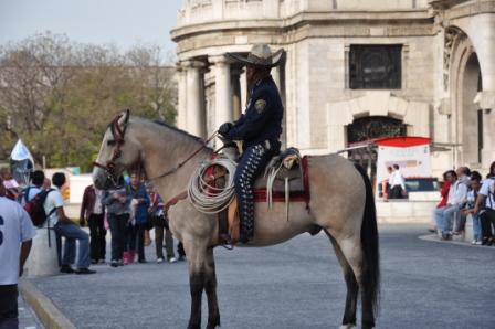 Horse Guard