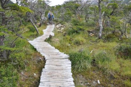 Wood walkway