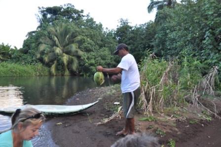 Cleaning the Coconut