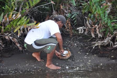 More Coconut Cleaning