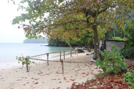 Hut on Beach